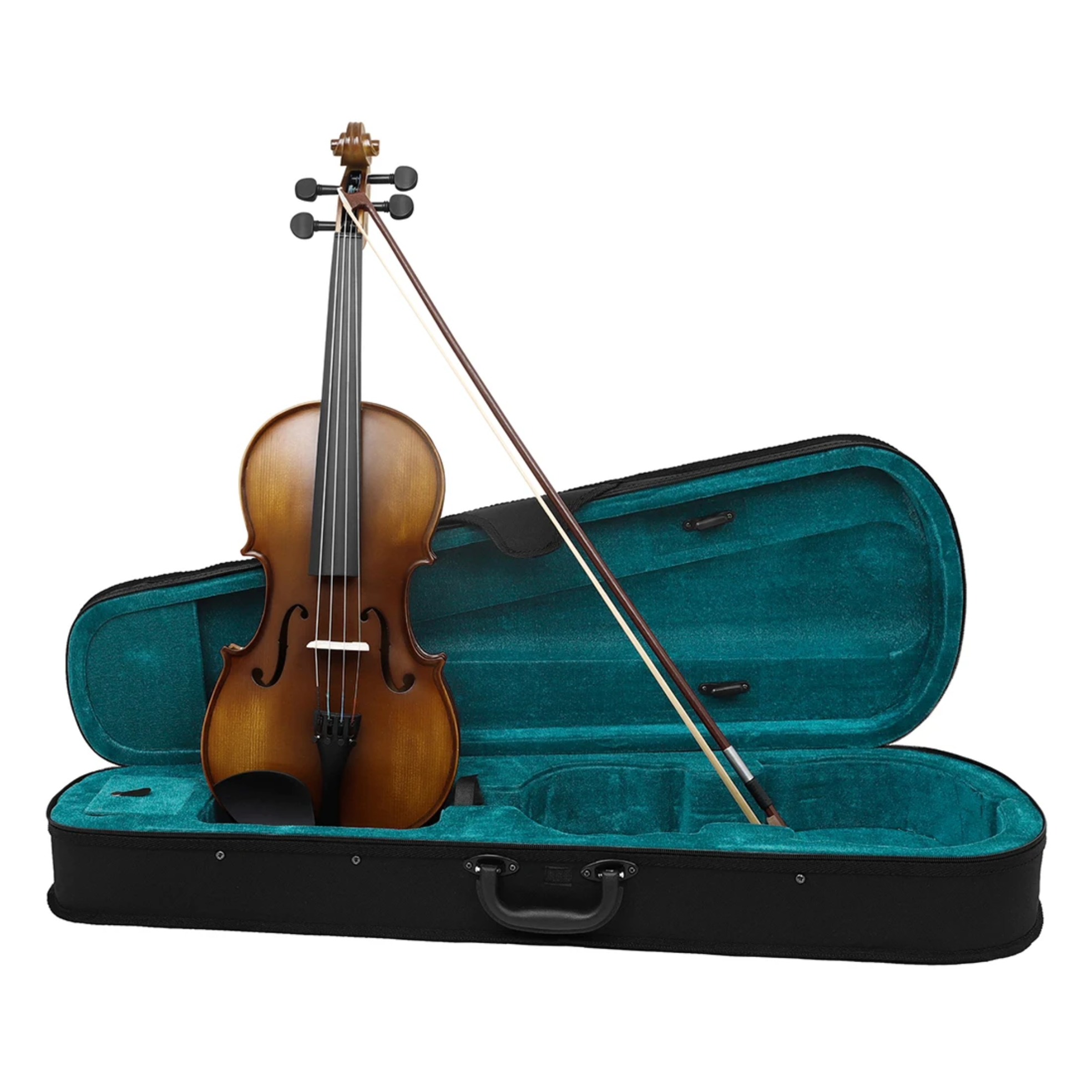 Viola